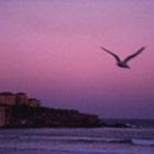 place+time bondi